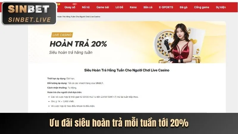 Hoàn trả không giới hạn 6ff